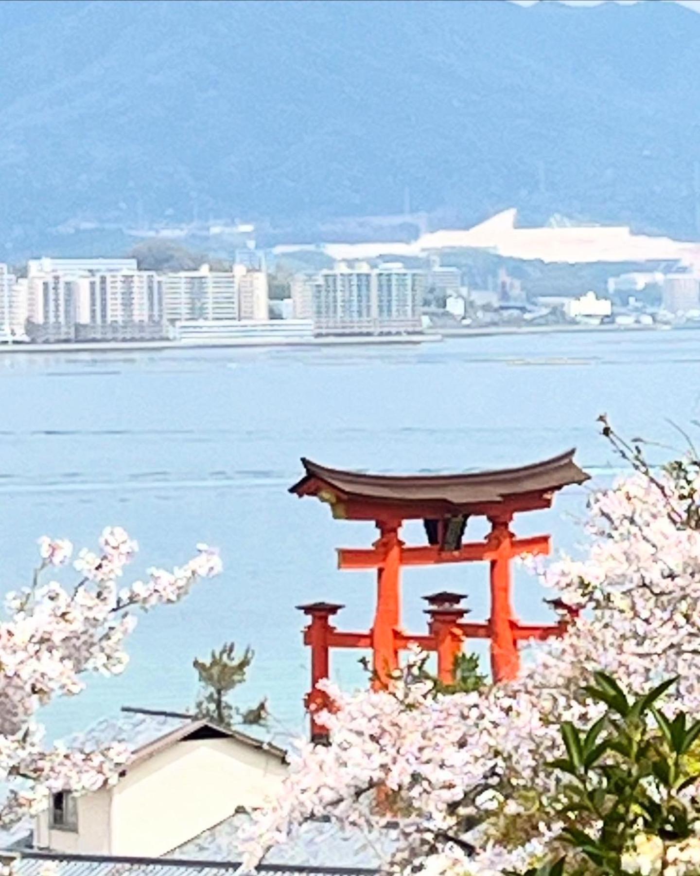 宮島 町家宿 進龍庵 *